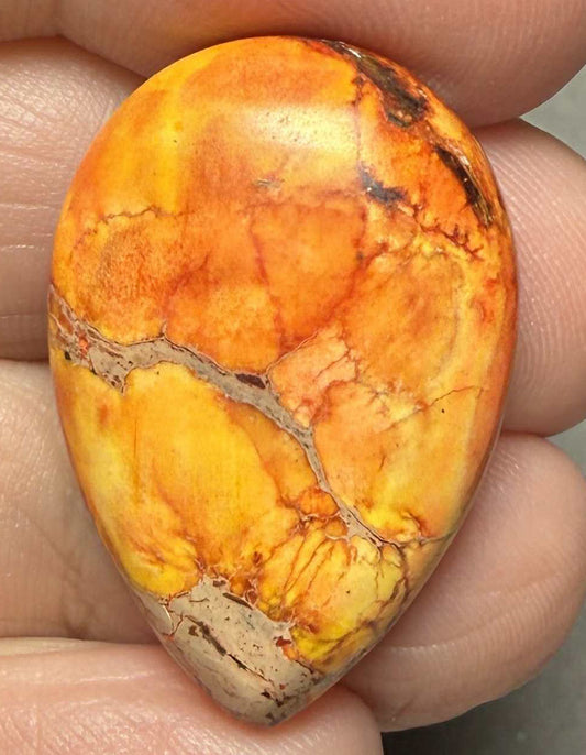 Teardrop 30x20mm Sea Sediment Jasper Cabochon 41