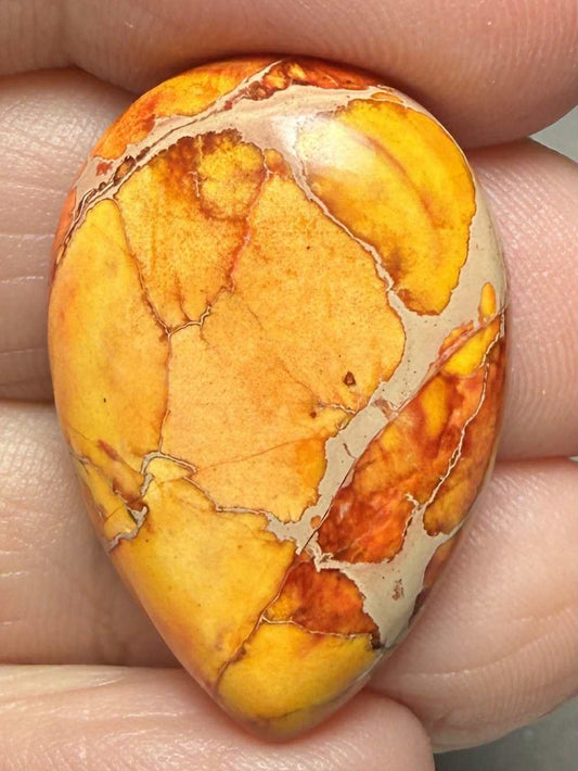 Teardrop 30x20mm Sea Sediment Jasper Cabochon 55