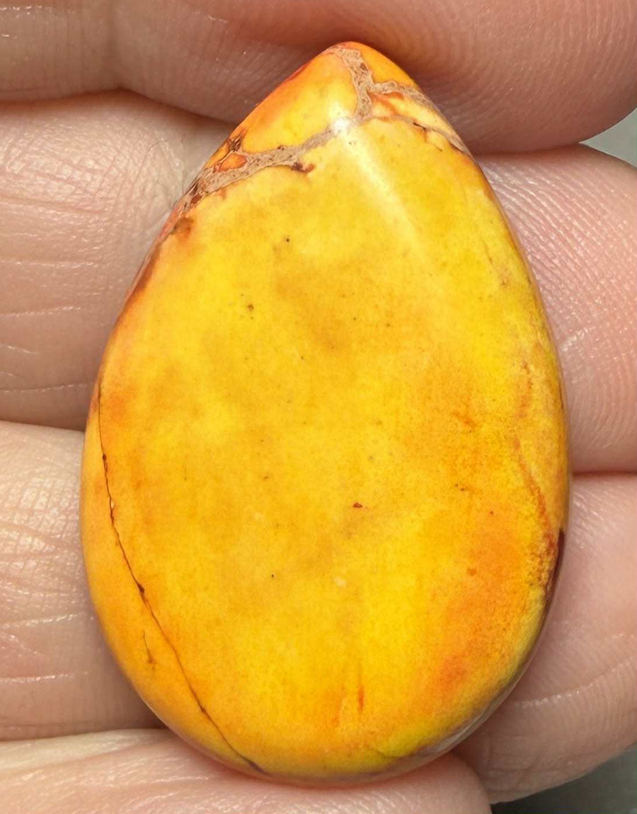 Teardrop 30x20mm Sea Sediment Jasper Cabochon 56