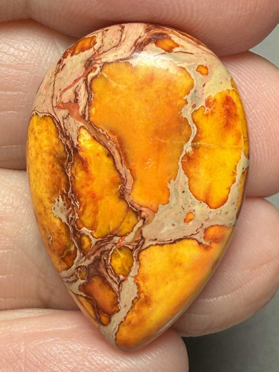 Teardrop 30x20mm Sea Sediment Jasper Cabochon 64