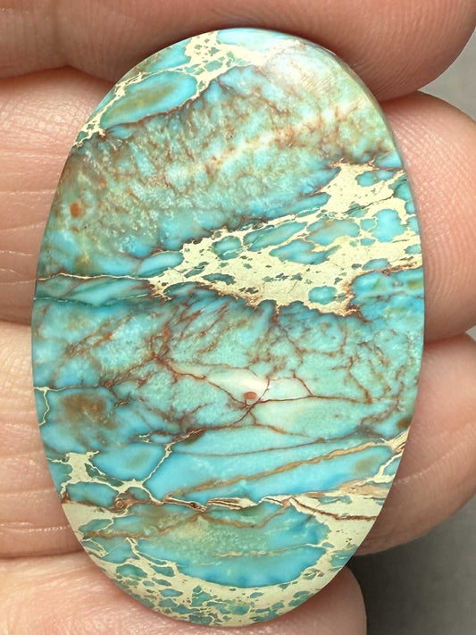 Oval 34x22mm Sea Sediment Jasper Cabochon 69