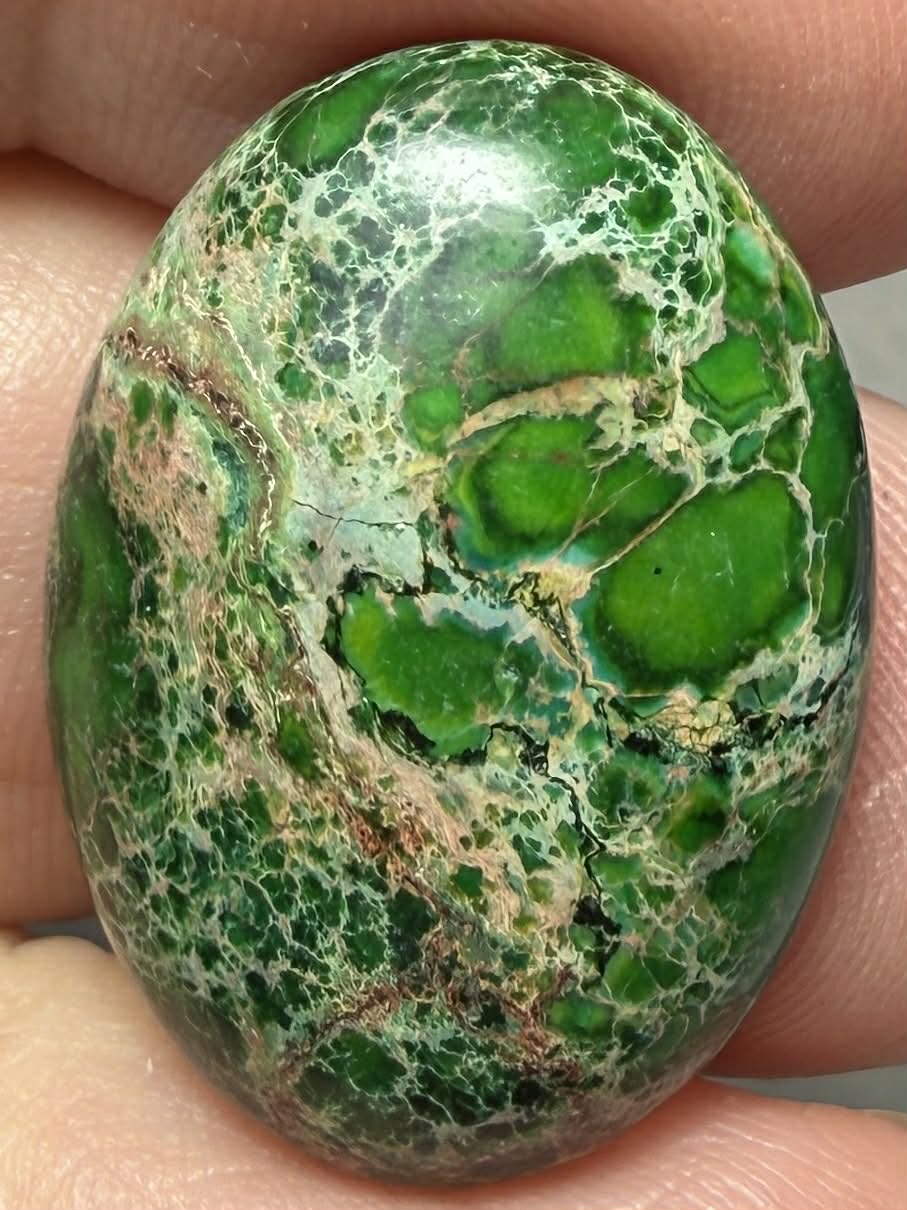 Oval 25x18mm Sea Sediment Jasper Cabochon 71