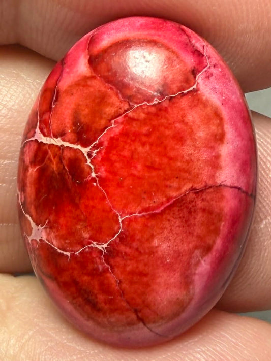 Oval 25x18mm Sea Sediment Jasper Cabochon 72