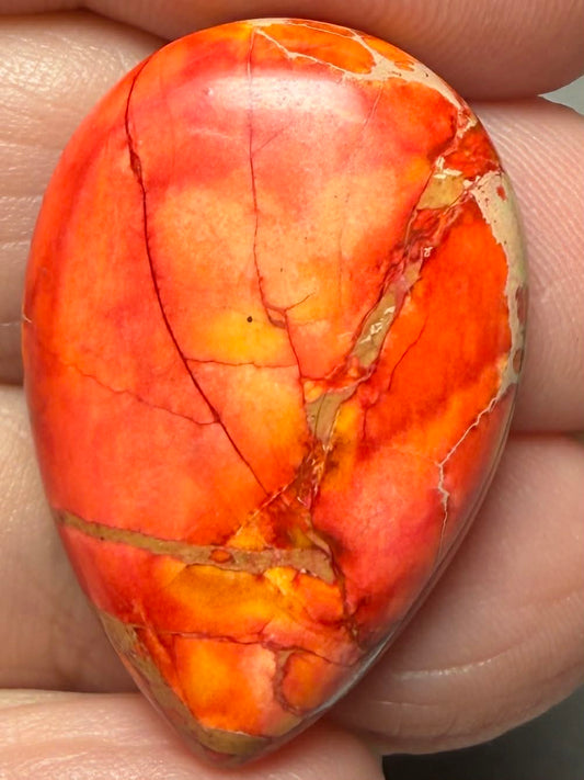 Teardrop 30x20mm Sea Sediment Jasper Cabochon 73