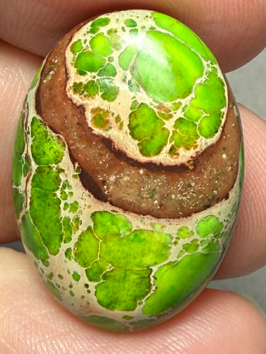 Oval 25x18mm Sea Sediment Jasper Cabochon 74