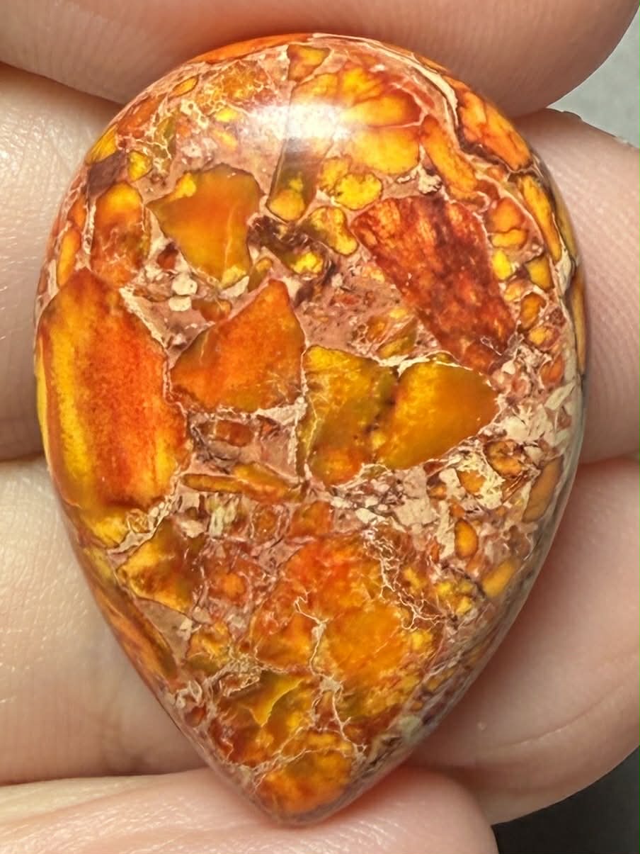 Teardrop 30x20mm Sea Sediment Jasper Cabochon 76