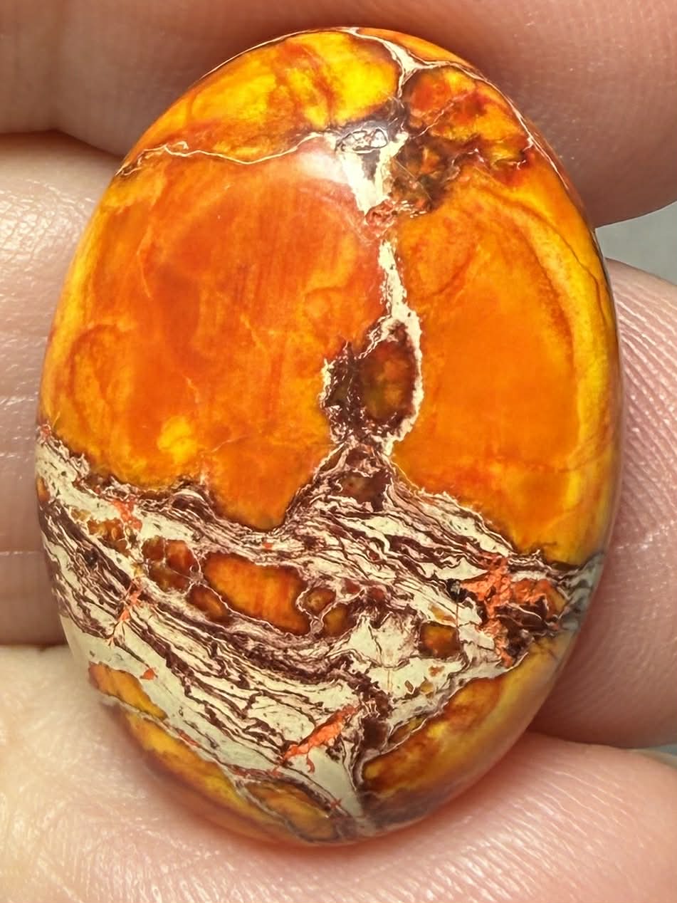 Oval 25x18mm Sea Sediment Jasper Cabochon 77