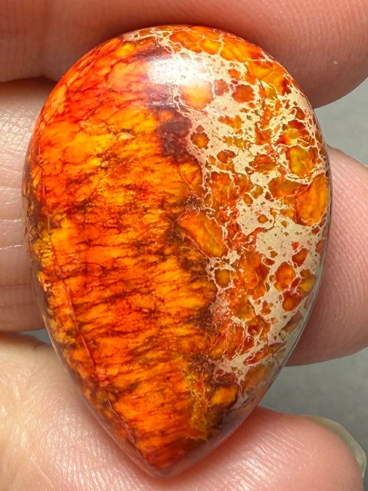 Teardrop 30x20mm Sea Sediment Jasper Cabochon 79