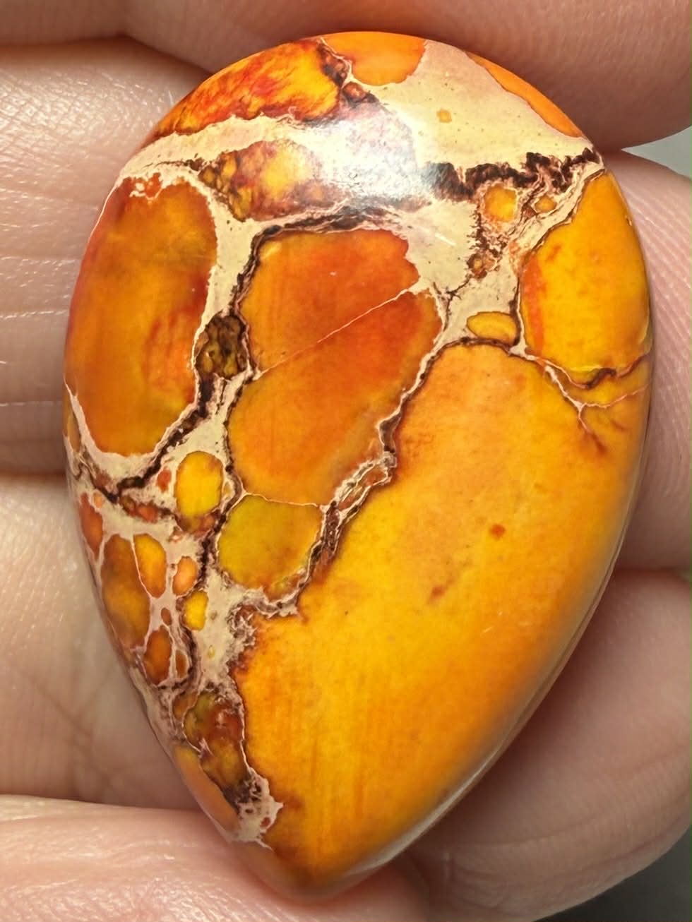 Teardrop 30x20mm Sea Sediment Jasper Cabochon 80