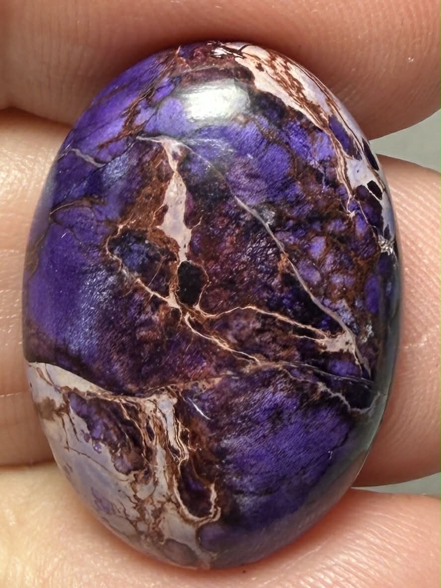 Oval 25x18mm Sea Sediment Jasper Cabochon 81