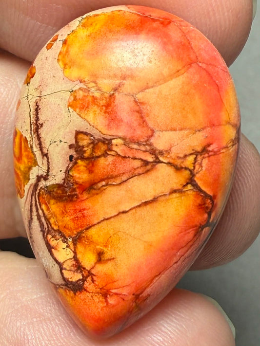 Teardrop 30x20mm Sea Sediment Jasper Cabochon 82