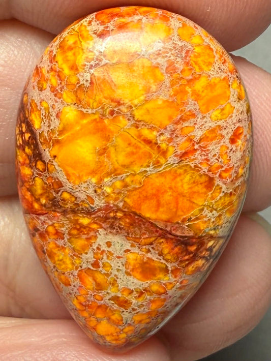 Teardrop 30x20mm Sea Sediment Jasper Cabochon 83