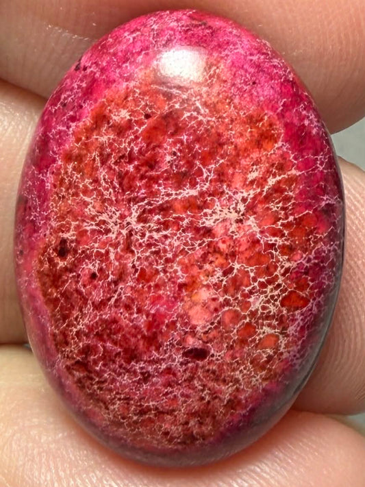 Oval 25x18mm Sea Sediment Jasper Cabochon 91
