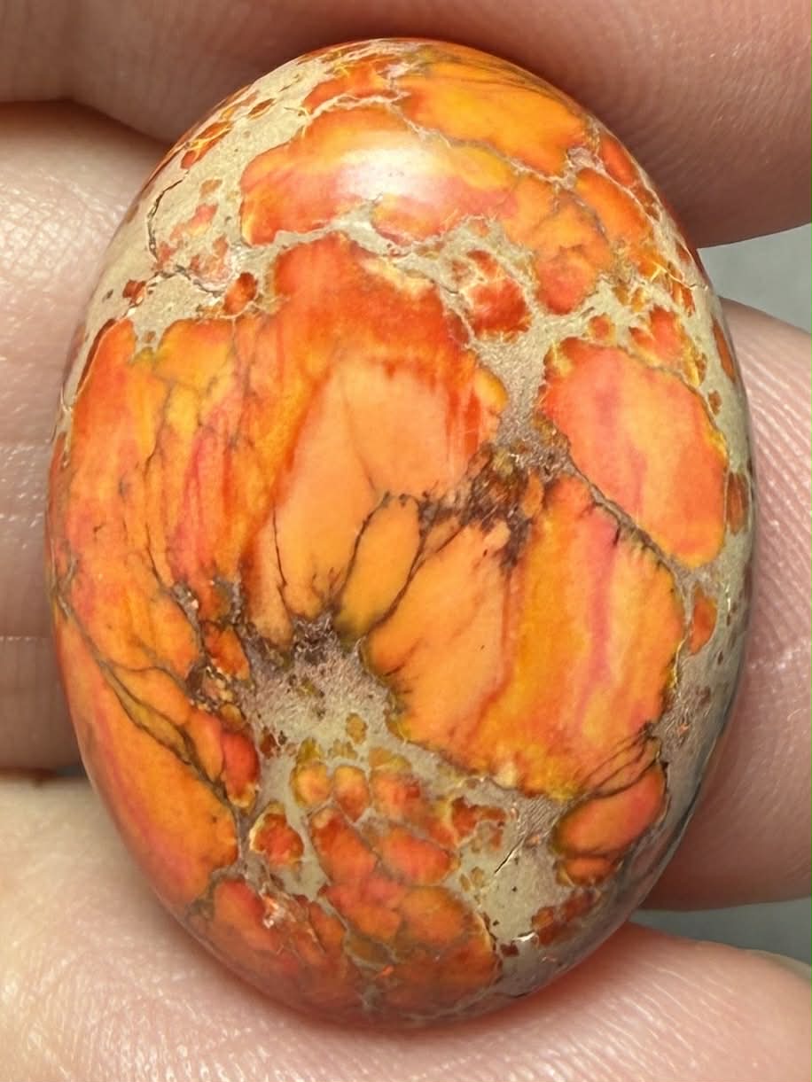 Oval 25x18mm Sea Sediment Jasper Cabochon 94