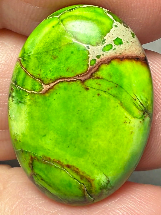 Oval 25x18mm Sea Sediment Jasper Cabochon 95