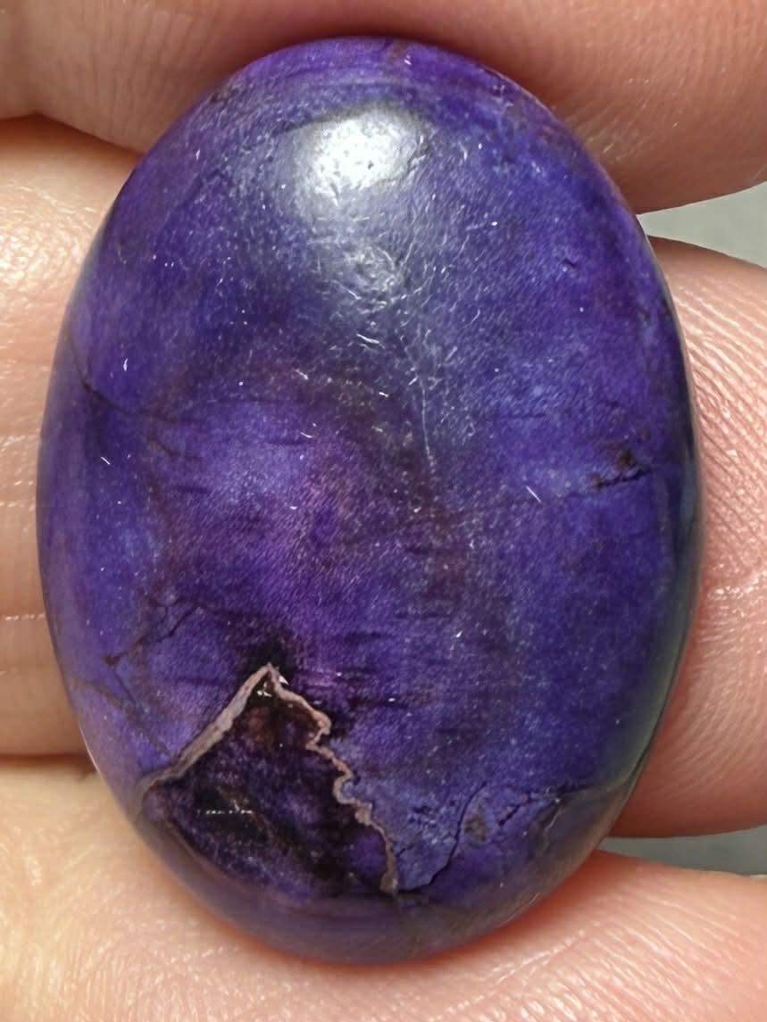 Oval 25x18mm Sea Sediment Jasper Cabochon 97