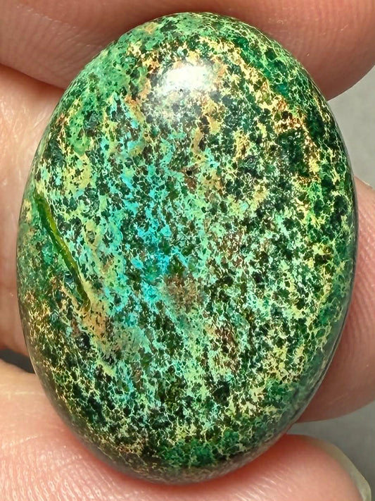 Oval 25x18mm Sea Sediment Jasper Cabochon 98
