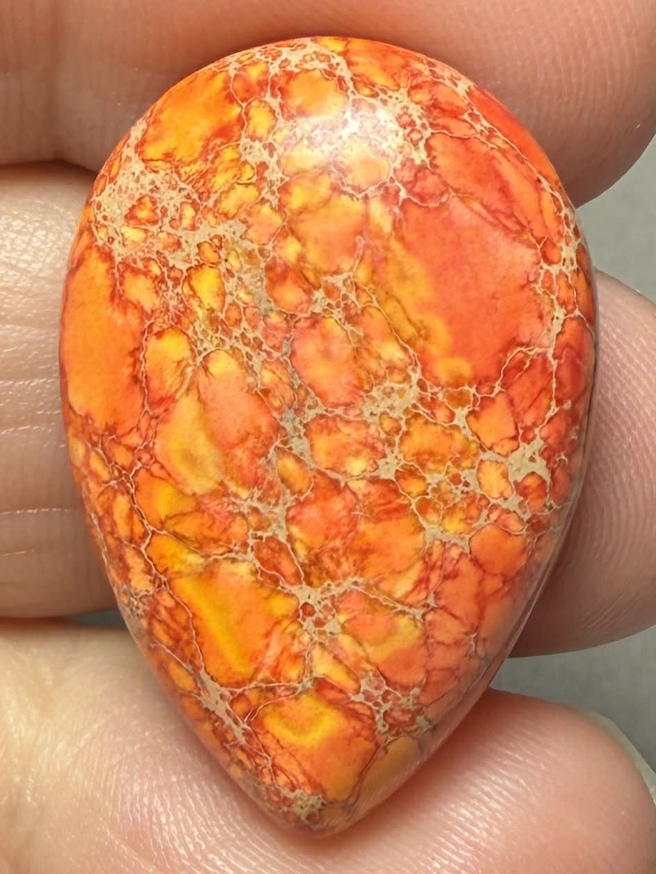 Teardrop 30x20mm Sea Sediment Jasper Cabochon 102