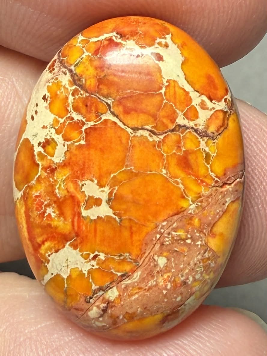 Oval 25x18mm Sea Sediment Jasper Cabochon 105