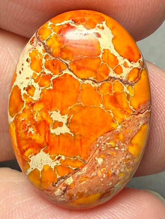 Oval 25x18mm Sea Sediment Jasper Cabochon 105