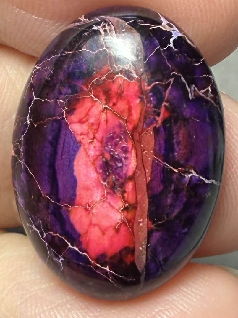 Oval 25x18mm Sea Sediment Jasper Cabochon 109