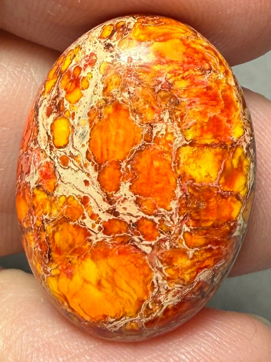 Oval 25x18mm Sea Sediment Jasper Cabochon 111