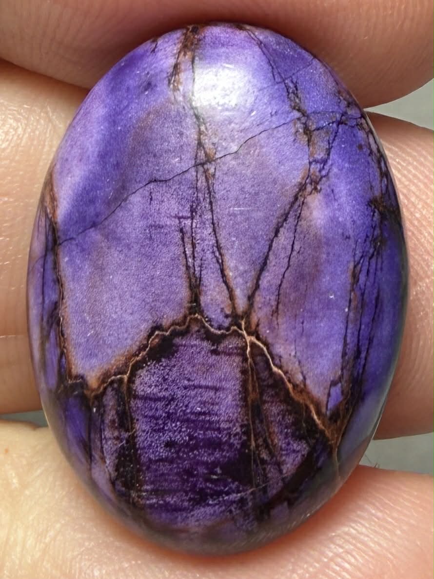 Oval 25x18mm Sea Sediment Jasper Cabochon 112