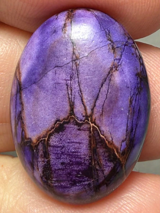 Oval 25x18mm Sea Sediment Jasper Cabochon 112