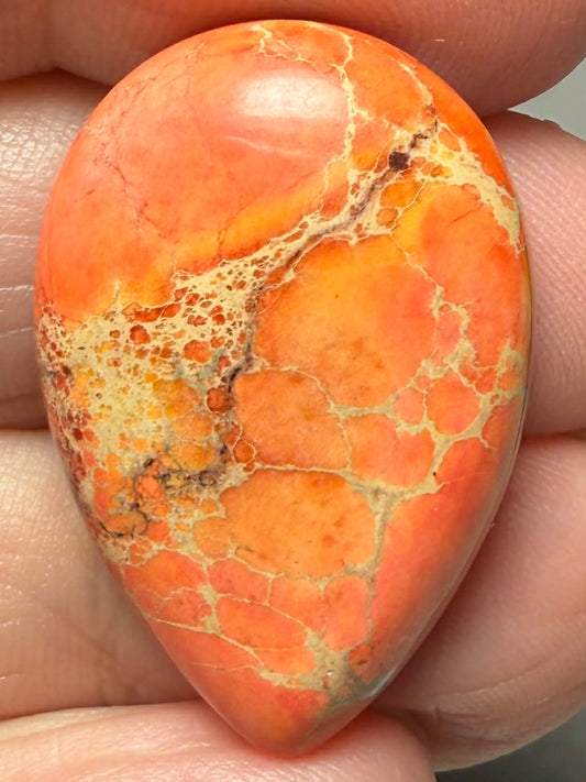 Teardrop 30x20mm Sea Sediment Jasper Cabochon 113