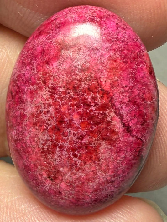 Oval 25x18mm Sea Sediment Jasper Cabochon 114