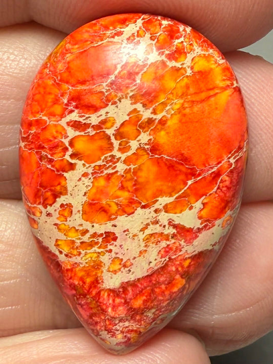 Teardrop 30x20mm Sea Sediment Jasper Cabochon 115