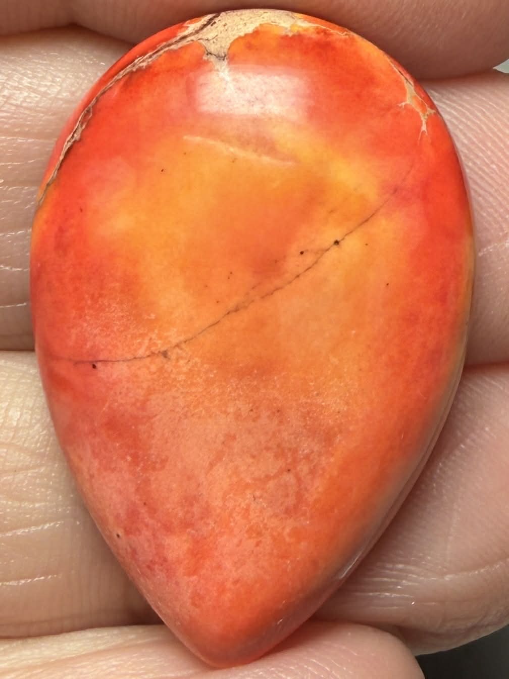 Teardrop 30x20mm Sea Sediment Jasper Cabochon 116