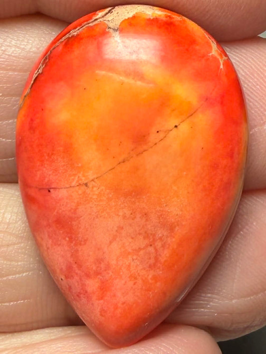 Teardrop 30x20mm Sea Sediment Jasper Cabochon 116