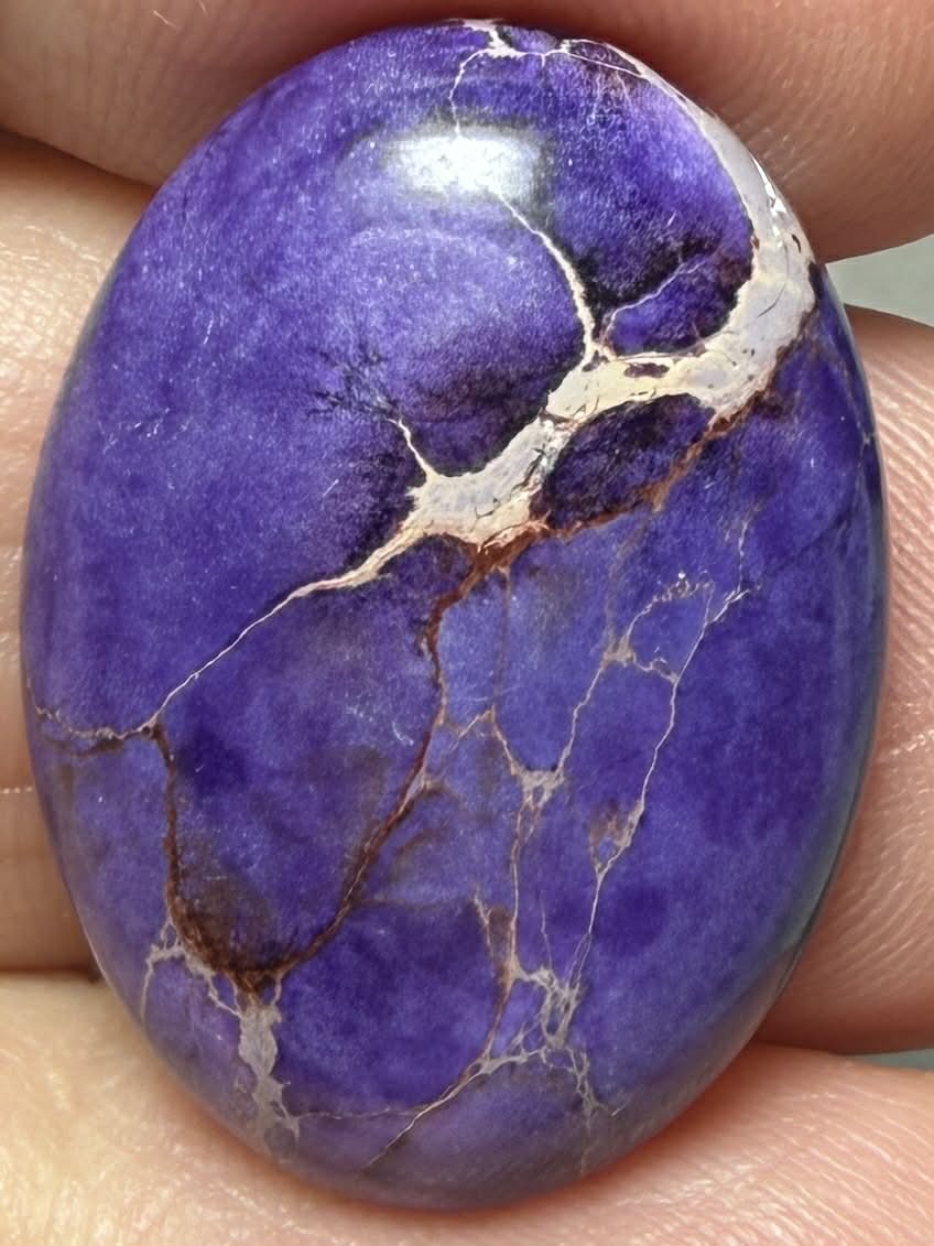 Oval 25x18mm Sea Sediment Jasper Cabochon 117