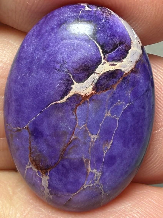 Oval 25x18mm Sea Sediment Jasper Cabochon 117