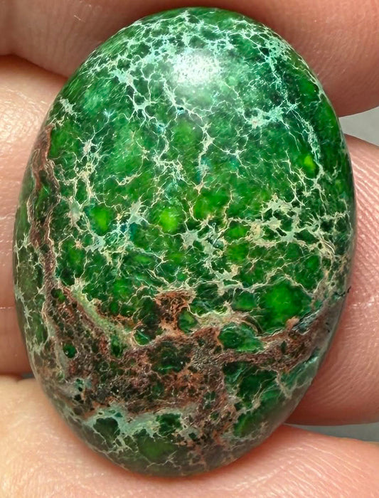 Oval 25x18mm Sea Sediment Jasper Cabochon 119