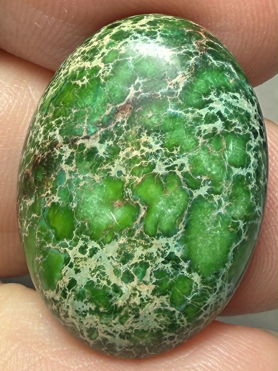 Oval 25x18mm Sea Sediment Jasper Cabochon 120