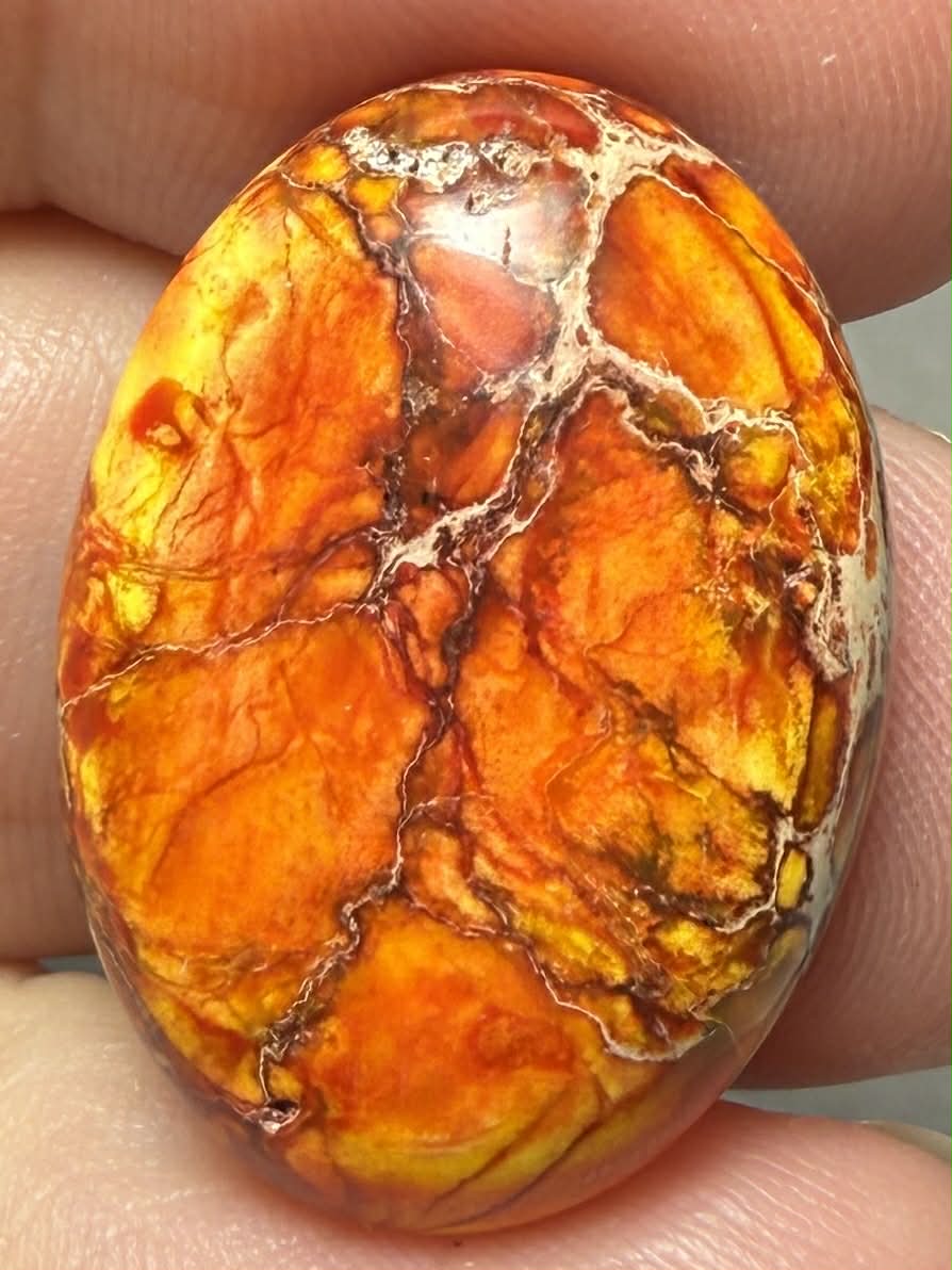 Oval 25x18mm Sea Sediment Jasper Cabochon 121