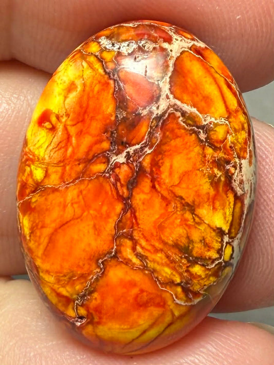 Oval 25x18mm Sea Sediment Jasper Cabochon 121
