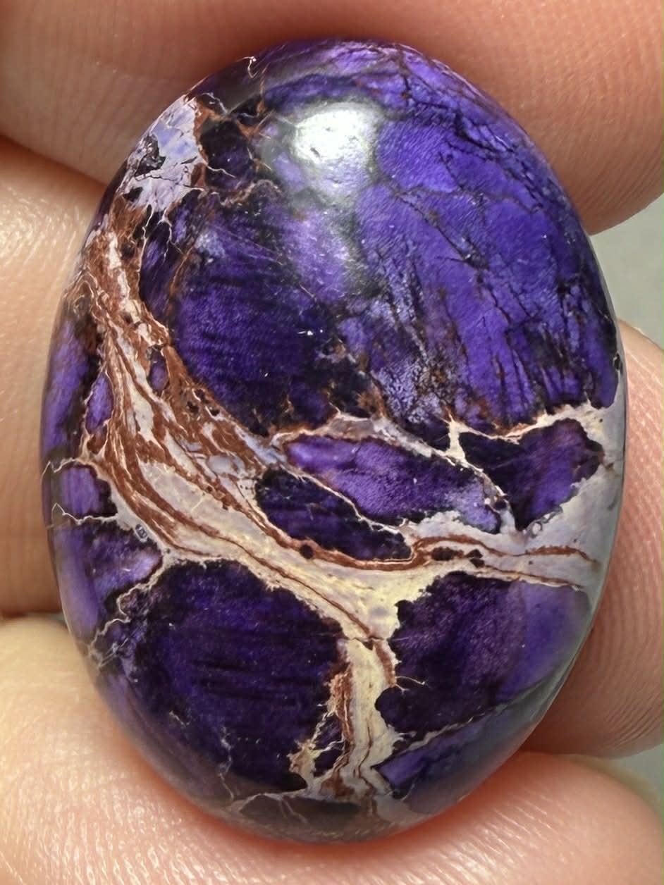 Oval 25x18mm Sea Sediment Jasper Cabochon 122