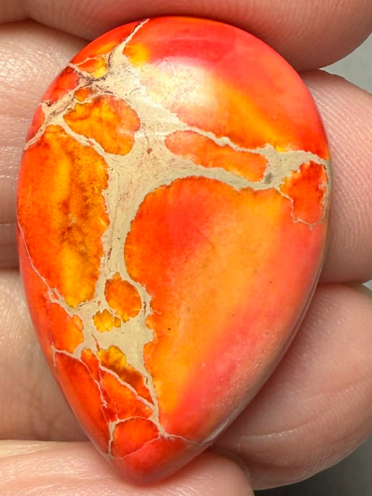 Teardrop 30x20mm Sea Sediment Jasper Cabochon 123
