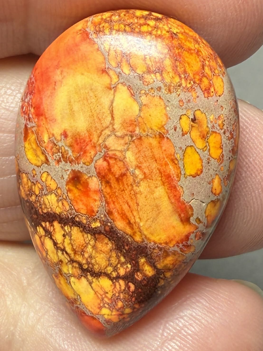 Teardrop 30x20mm Sea Sediment Jasper Cabochon 124