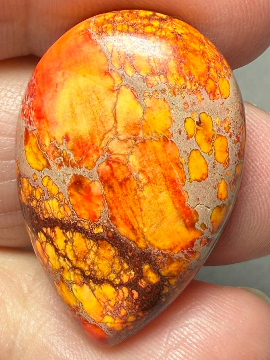 Teardrop 30x20mm Sea Sediment Jasper Cabochon 124