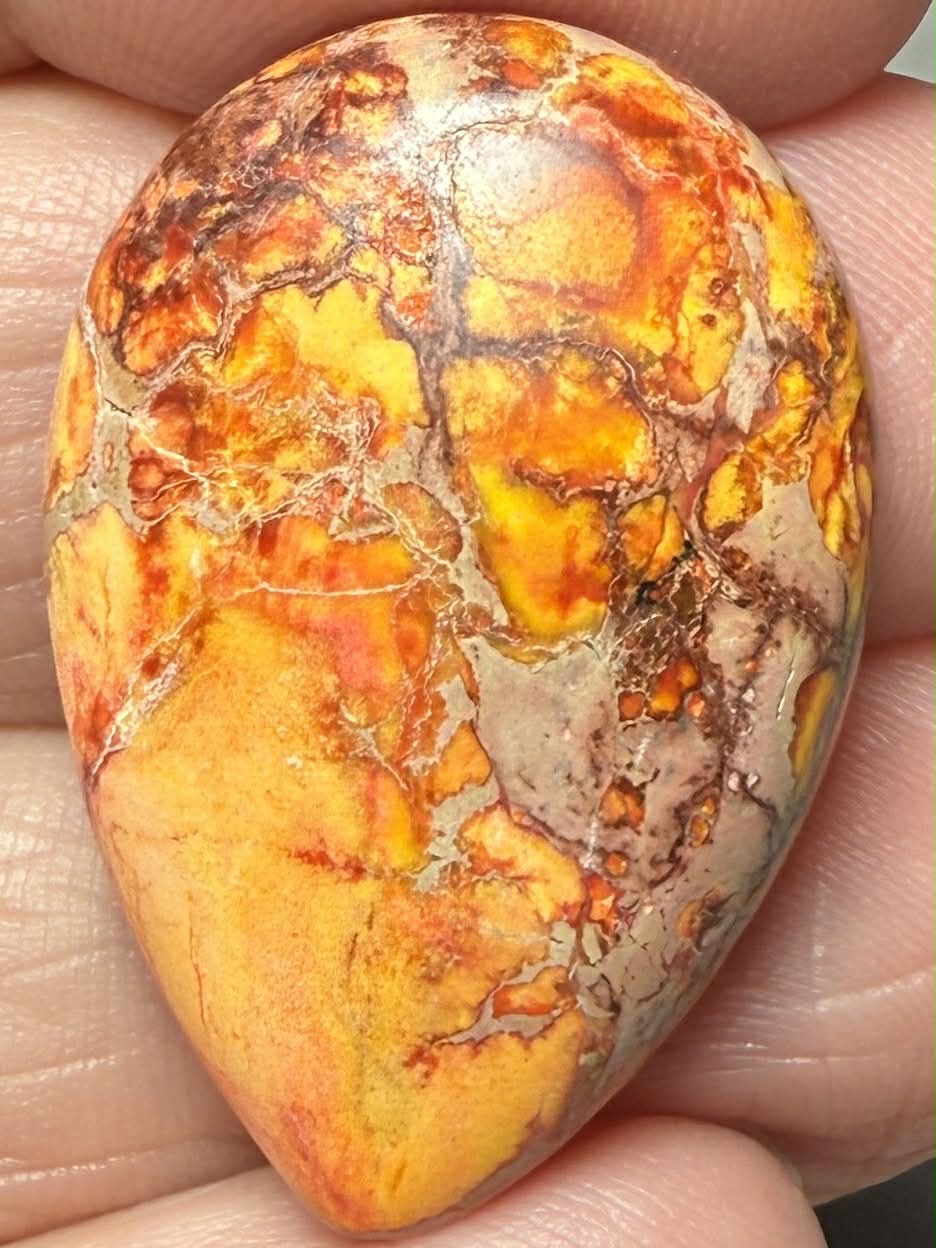 Teardrop 30x20mm Sea Sediment Jasper Cabochon 125