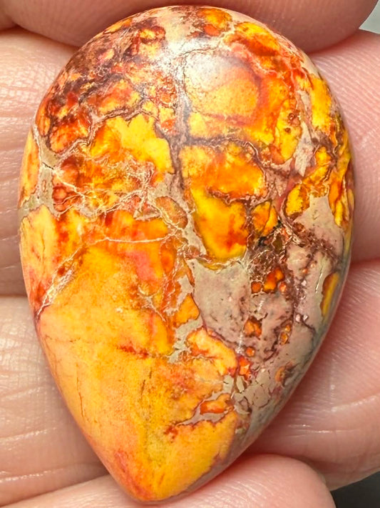 Teardrop 30x20mm Sea Sediment Jasper Cabochon 125