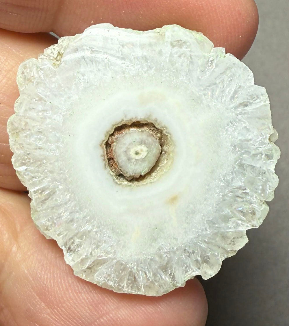 Freeform 32x30mm Natural Solar Quartz Slice 02