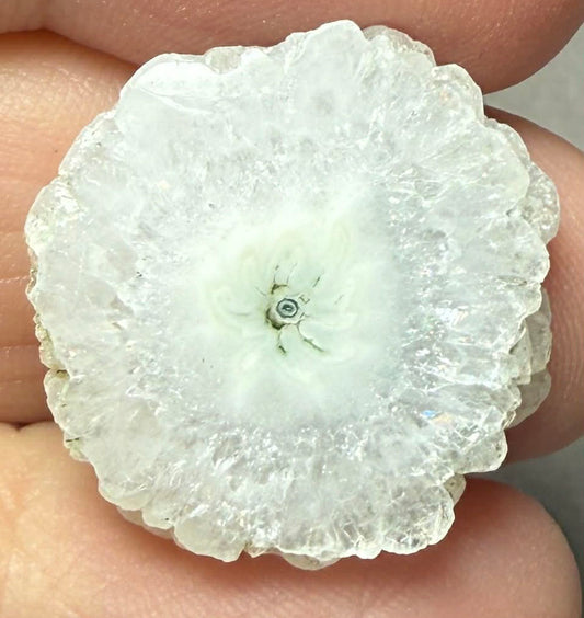 Freeform 22x20mm Natural Solar Quartz Slice 31