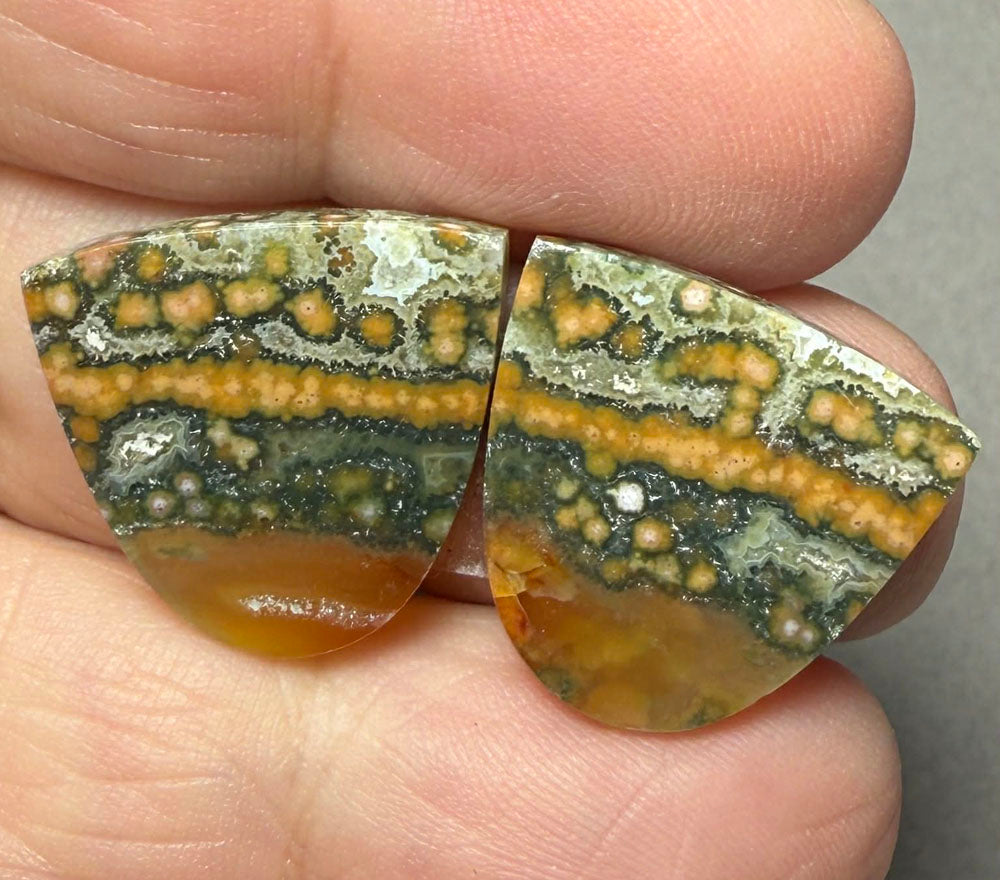 Freeform 18x19mm Ocean Jasper Cabochon Pair 17