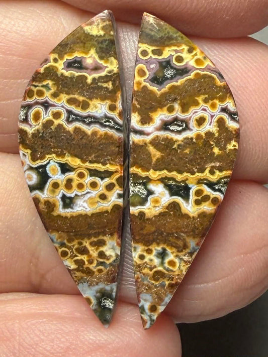 Freeform 29x10mm Ocean Jasper Cabochon Pair 20