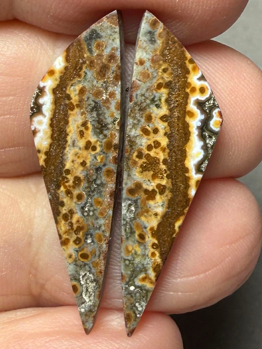 Freeform 32x9mm Ocean Jasper Cabochon Pair 23